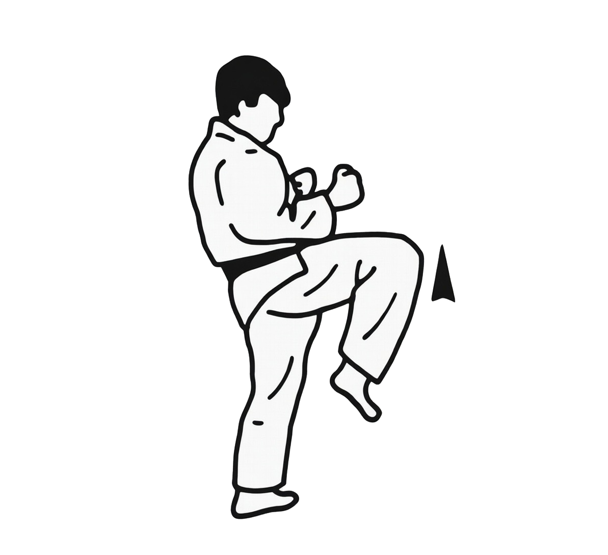 Hiza geri technique