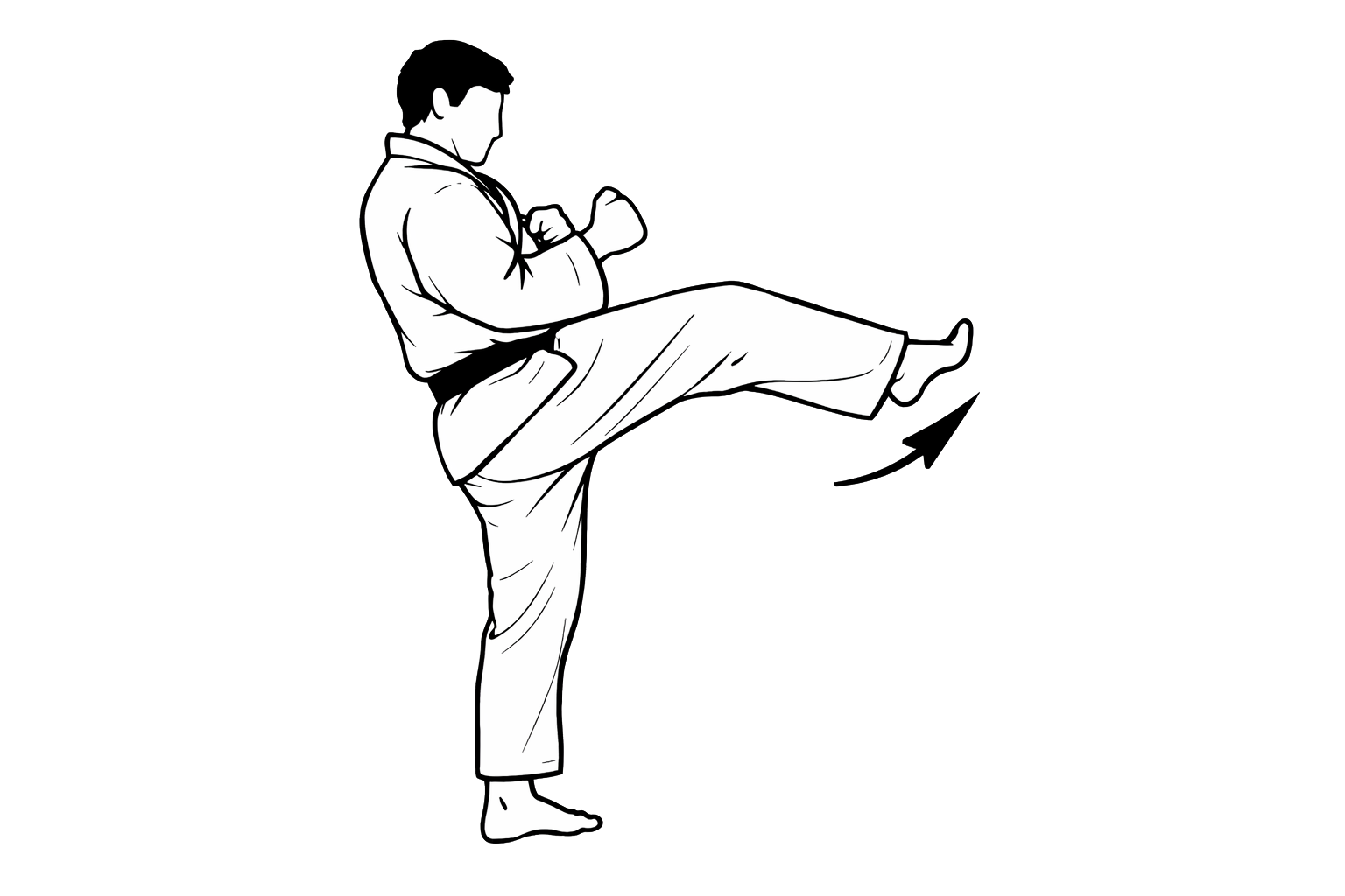 Mae geri technique