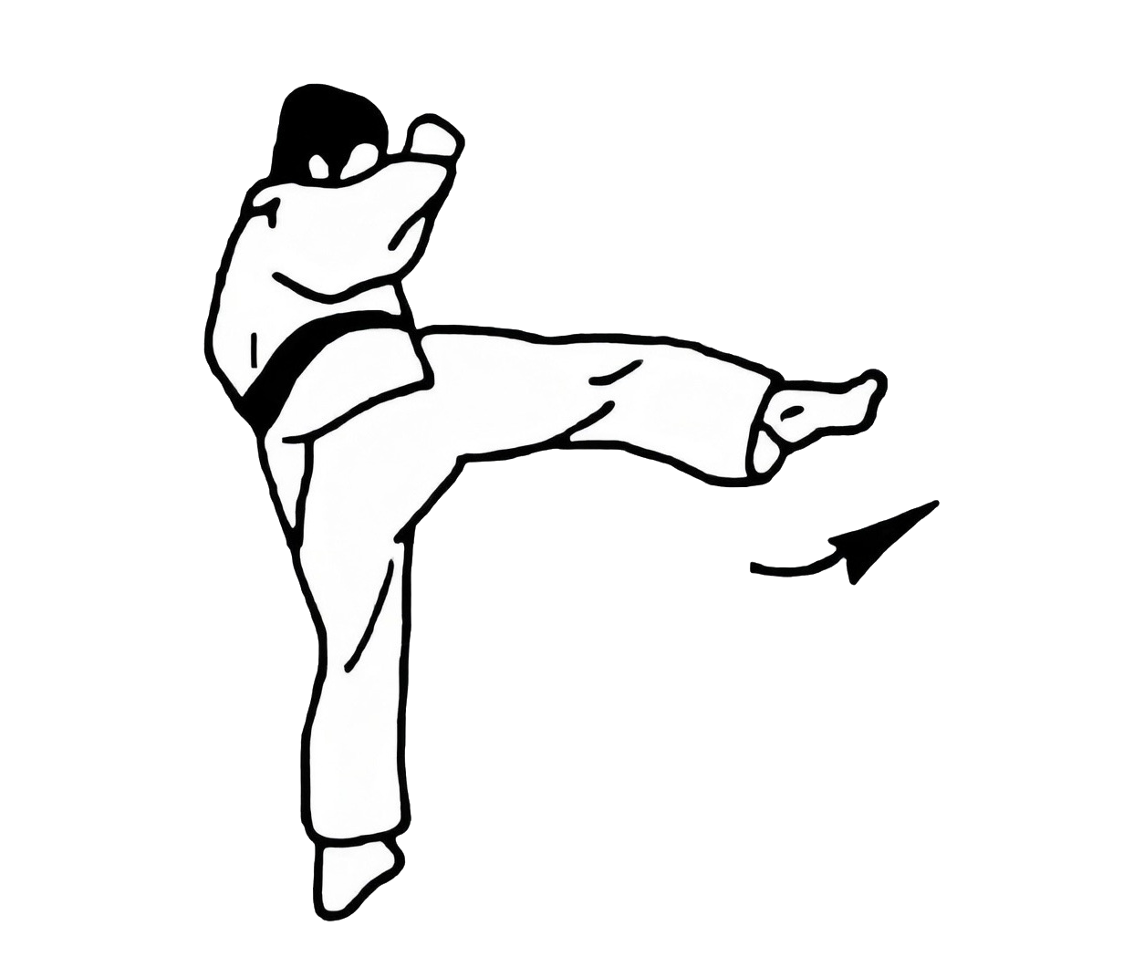 Mawashi geri technique