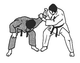 Ude hishigi ude gatame technique