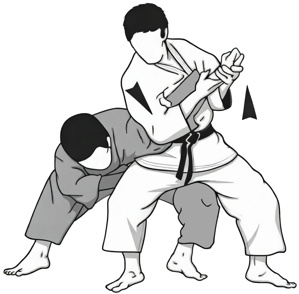 Ude hishigi waki gatame technique