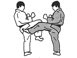 Randori technique