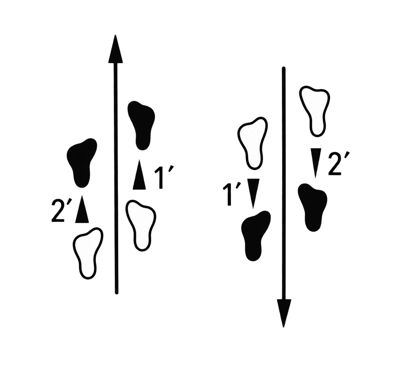 Tsugi ashi technique