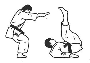 Ushiro ukemi technique