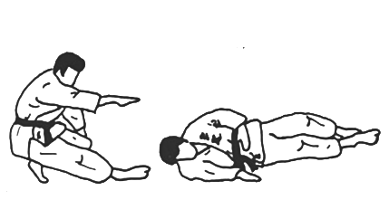 Yoko ukemi technique
